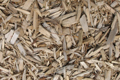 biomass boilers Trelowia
