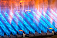 Trelowia gas fired boilers